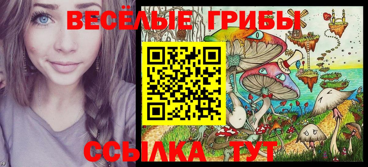 Галлюциногенные грибы GOLDEN TEACHER  Галлюциногенные грибы прущие грибы  Вход с VPN  Крымск 